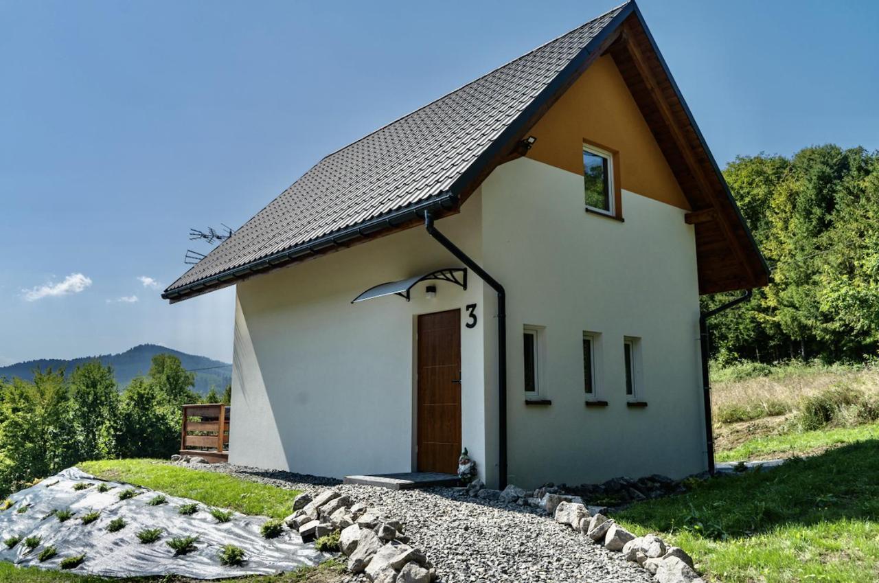 Apartview House Dolina Partecznik By Rent Like Home Wisla Luaran gambar